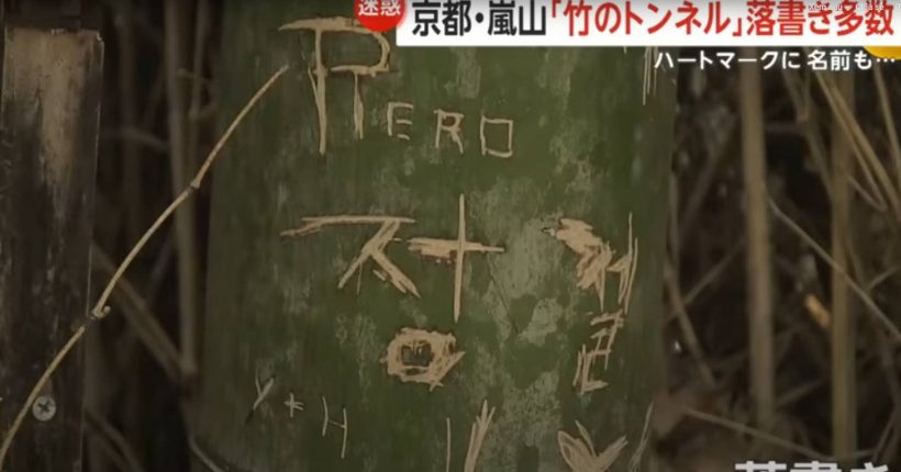 screenshot-3254-1761277108423-17612771087751568413309