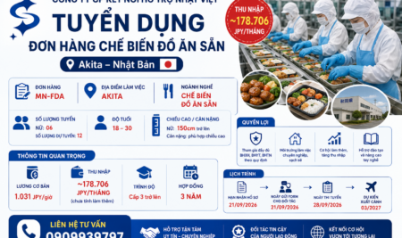 TUYỂN DỤNG NỮ ĐI NHẬT BẢN – ĐƠN HÀNG CHẾ BIẾN ĐỒ ĂN SẴN TẠI AKITA