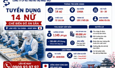 TUYỂN 14 NỮ CHẾ BIẾN ĐỒ ĂN SẴN TẠI CHIBA – NHẬT BẢN 🇯🇵